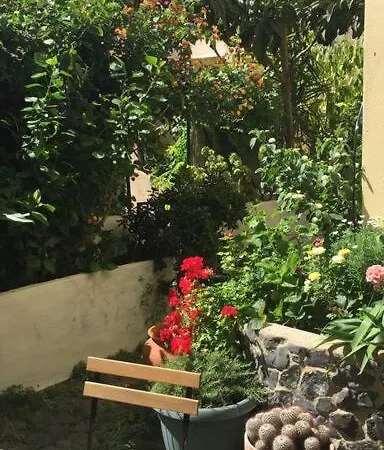 Downtown Garden House Apartment